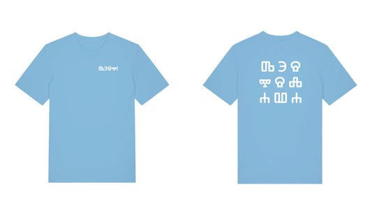 Gildan - Ladies Softstyle · DTF Print · Light Blue